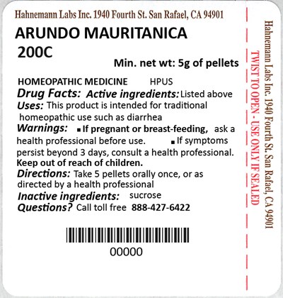 Arundo Mauritanica 200C 5g.jpg Arundo Mauritanica 200C 5g - Arundo Mauritanica 200C 5g